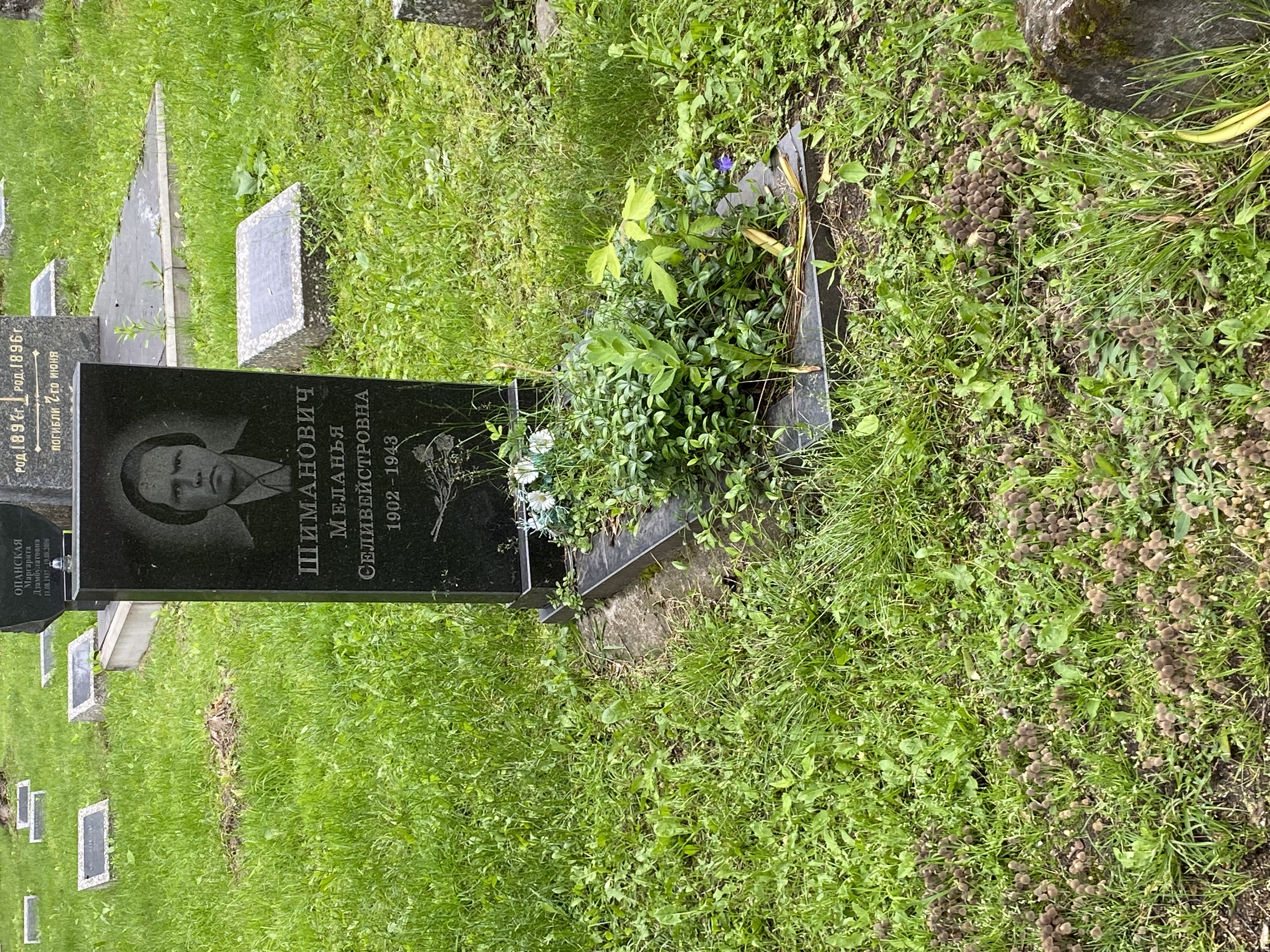 Фотография надгробия